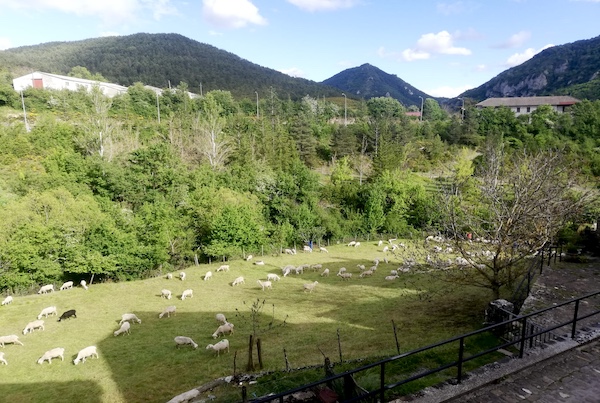BioPirineo